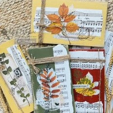 Redesign - Decor Transfer - Foliage Collector