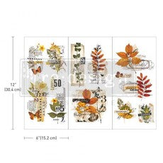 Redesign - Decor Transfer - Foliage Collector