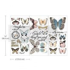 Redesign - Transfer - Papillon Collection